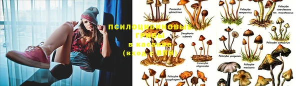 герыч Ладушкин