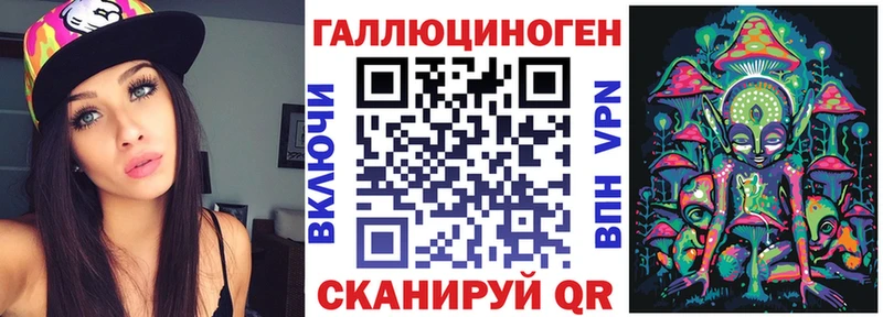 Купить где  Анива  Псилоцибиновые грибы Psilocybe 